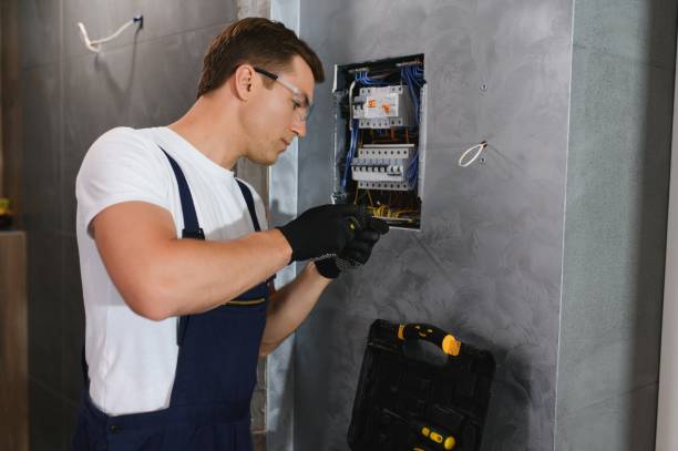 Best Electric Panel Repair  in Oak Park, MI